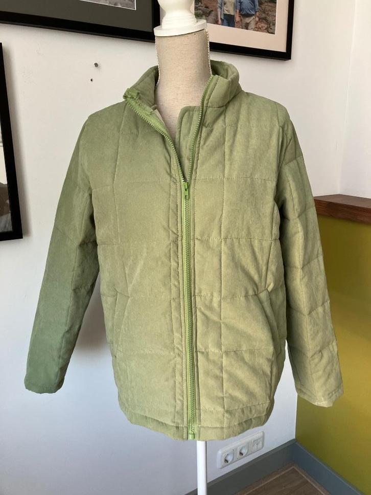 Herfst jasje maat M/L, Kleding | Dames, Jassen | Winter, Zo goed als nieuw, Maat 38/40 (M), Groen, Ophalen of Verzenden