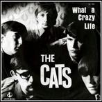 the Cats: What a crazy life., Ophalen of Verzenden, Gebruikt, Overige genres