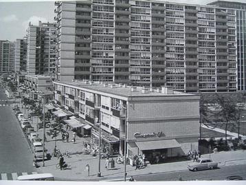 Panorama Rotterdam. De jaren vijftig - Rotgans. beschikbaar voor biedingen
