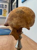 Mensen schedel-antiek-medisch-educatieve doeleinden, Ophalen of Verzenden