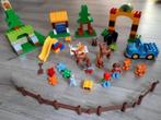 Lego / Duplo het grote bos, Ophalen of Verzenden, Zo goed als nieuw, Duplo