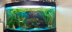 Juwel 450 litre, Dieren en Toebehoren, Vissen | Aquaria en Toebehoren, Ophalen of Verzenden, Gebruikt, Verlichting of Verwarming