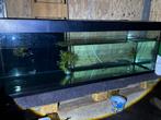 Aquarium 180CM, Dieren en Toebehoren, Ophalen, Leeg aquarium