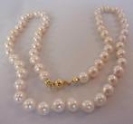 Parelcollier- nieuw- wit- 46,5 cm- 25,59 gram- 14K goud, Sieraden, Tassen en Uiterlijk, Kettingen, Verzenden, Wit, Nieuw, Met edelsteen