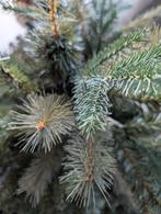 Kunstkerstboom 180cm Royal Christmas, Diversen, Ophalen, Gebruikt