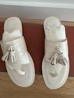 Loro Piana Slippers Alligator 39, Kleding | Dames, Schoenen, Slippers, Wit, Nieuw, Ophalen of Verzenden