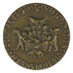 Penning VPK 1959 Niel Steenbergen : Carnaval, Verzenden, Brons, Nederland