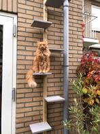 Kattentrap op Maat - katten ladder, Ophalen, Nieuw