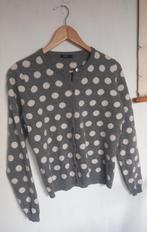 Polkadot wollen vestje maat M, Ophalen of Verzenden, Zo goed als nieuw