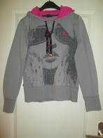 L-10 Grijze sweater van April Evil met print - maat L., Ophalen of Verzenden, Gedragen, Maat 42/44 (L), Grijs