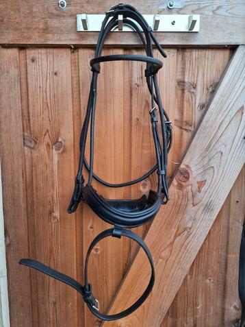 Rondgenaaid Stübben hoofdstel maat cob beschikbaar voor biedingen