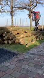 (Deel)vrachten: Brandhout Stamhout Kachelhout Boomstammen., 6 m³ of meer, Ophalen, Stammen