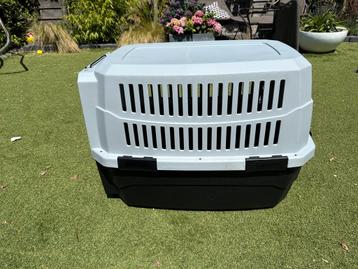 Hond bench beschikbaar voor biedingen