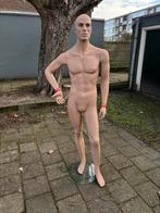 Paspop heren goede staat, Ophalen, Gebruikt, Paspop