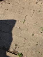 GRATIS tuintegels 30x30, Ophalen, Gebruikt, 10 m² of meer, Beton