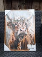 Canvas Schilderij - Schotse Hooglander, Huis en Inrichting, Woonaccessoires | Schilderijen, Tekeningen en Foto's, Ophalen, Minder dan 50 cm