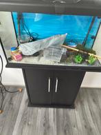 Complete Aquarium Set met Kast en Buitenfilter, Ophalen of Verzenden, Zo goed als nieuw, Leeg aquarium
