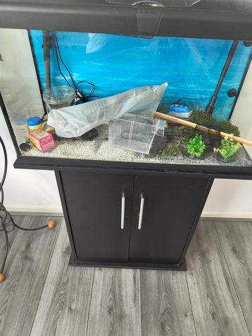 Complete Aquarium Set met Kast en Buitenfilter beschikbaar voor biedingen