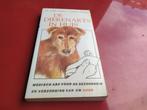 De dierenarts in huis - Hond, Ophalen of Verzenden, Honden