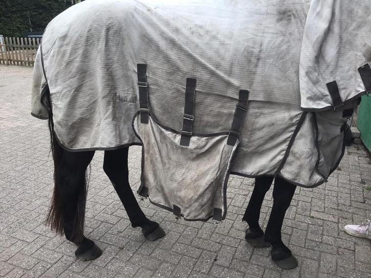 Eczeem deken paard 2x, Dieren en Toebehoren, Paarden en Pony's | Dekens en Dekjes, Gebruikt, Deken, Ophalen of Verzenden