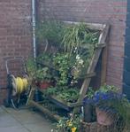 Verrijdbaar plantenrek voor balkonbakken, Ophalen of Verzenden, Gebruikt, Hout, Overige typen