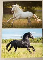 2 nieuwe ansichtkaarten met paarden van De Stulp, Verzamelen, Ophalen of Verzenden, 1980 tot heden, Ongelopen, Paard