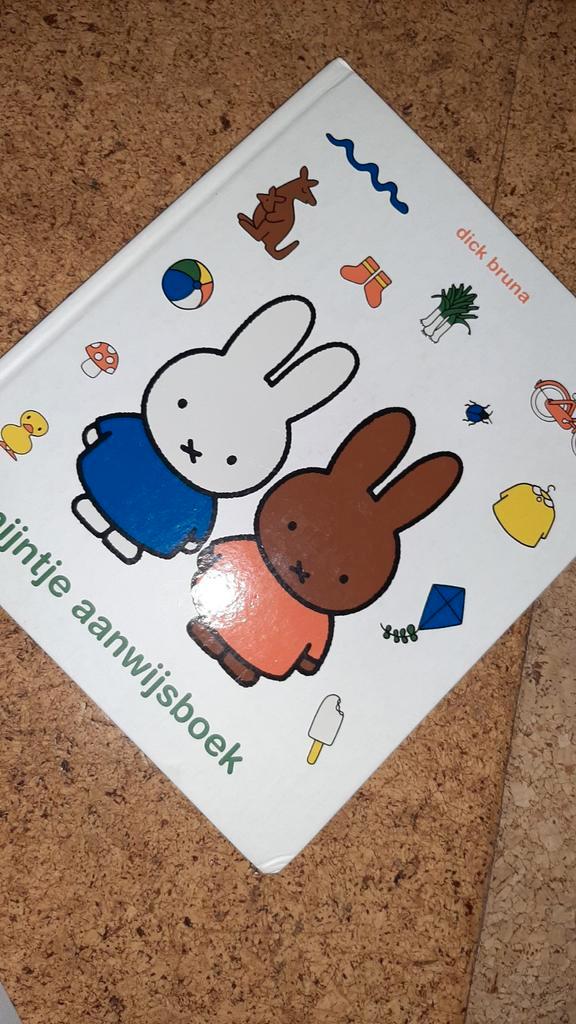 NIJNTJE Aanwijsboek - Dick Bruna lidwoorden woorden leren, Boeken, Kinderboeken | Baby's en Peuters, Ophalen of Verzenden