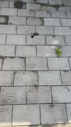 Tegels 20x30, Tuin en Terras, Tegels en Klinkers, Ophalen, Gebruikt, Klinkers, 10 m² of meer