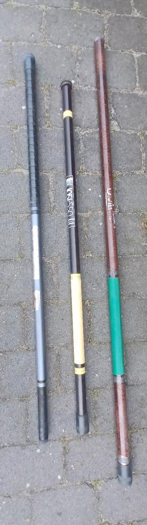 Vishengels : 2 x insteek, 1 x telescoop. beschikbaar voor biedingen