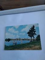 MOLENSCHOT (N.BR) CAMPING "DE VISVIJVER", Ophalen of Verzenden, 1960 tot 1980, Noord-Brabant