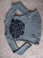 Trui another woman mt 38, Kleding | Dames, Ophalen of Verzenden, Zo goed als nieuw, Maat 38/40 (M)