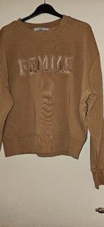 kleding maat L voor maar € 1,00 per stuk, Kleding | Dames, Overige Dameskleding, Ophalen of Verzenden, Gedragen