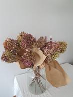 Hortensia Droogbloemen - Prachtige Bosjes!, Ophalen, Nieuw