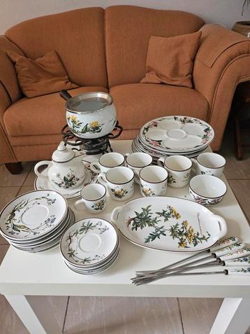 Villeroy & Boch Botanica Servies + Fondue incompleet beschikbaar voor biedingen