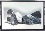 leuke grote gesigneerde afbeelding mooie lijst 125 x 85 cm, Ophalen