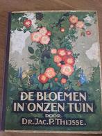 De bloemen in onze tuin jac.p.Thijsse 1926, Boeken, Prentenboeken en Plaatjesalbums, Ophalen of Verzenden, Zo goed als nieuw
