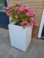 Nieuwe stalen plantenbak / bloembak 50x50x50 en 60x60x60, Ophalen of Verzenden, Nieuw, Rond, Minder dan 60 cm