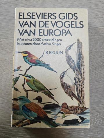 Elseviers Gids van de Vogels van Europa beschikbaar voor biedingen