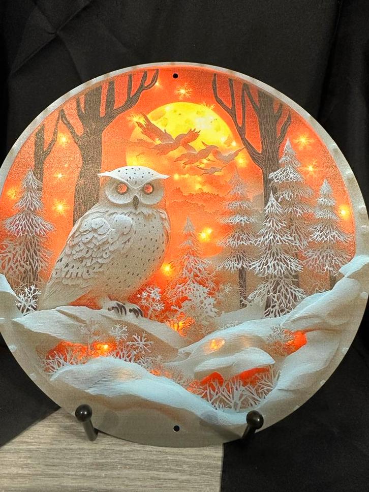 Sneeuwuil op aluminium bord met verlichting, Huis en Inrichting, Woonaccessoires | Wanddecoraties, Nieuw, Ophalen of Verzenden