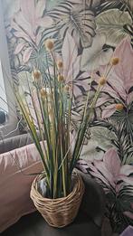 Nep plant met rieten pot, Ophalen, Zo goed als nieuw, Binnen