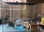 Hamster kooi, Minder dan 60 cm, Kooi, Gebruikt, Minder dan 75 cm