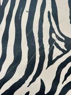 Kist, met zebraprint, Ophalen, Gebruikt