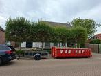 Leibomen, Ophalen, Volle zon, Overige soorten