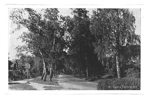 902978	Ede	Ingang Edesche bos	Nette oude kaart Onbeschreven, Verzamelen, Ansichtkaarten | Nederland, Ongelopen, Gelderland, Ophalen of Verzenden