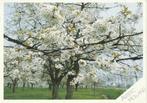 Artistic Holland, Verzenden, 1980 tot heden, Gelopen, Overige thema's