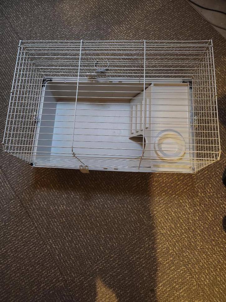 Cavia kooi, Dieren en Toebehoren, Knaagdieren en Konijnen | Hokken en Kooien, Gebruikt, Kooi, Minder dan 60 cm, 75 tot 110 cm