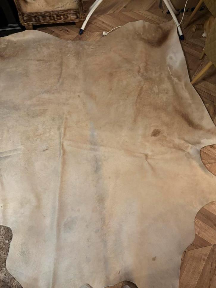 Prachtige Koeienhuid, Huis en Inrichting, Stoffering | Tapijten en Kleden, Zo goed als nieuw, 150 tot 200 cm, Overige vormen, Wit