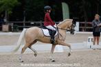 Lieve C-pony ruin te koop, Dieren en Toebehoren, Ruin, Dressuurpony, 3 tot 6 jaar, Ontwormd