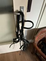 Stang en trens hoofdstel, Dieren en Toebehoren, Paarden en Pony's | Hoofdstellen en Tuigage, Ophalen of Verzenden, Zo goed als nieuw