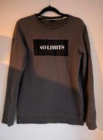 Grijze sweater met 'No Limits' print, Ophalen of Verzenden, Zo goed als nieuw, Jongen, Trui of Vest